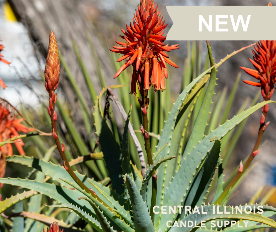 Aloe Vera Blossoms | Fragrance Oil