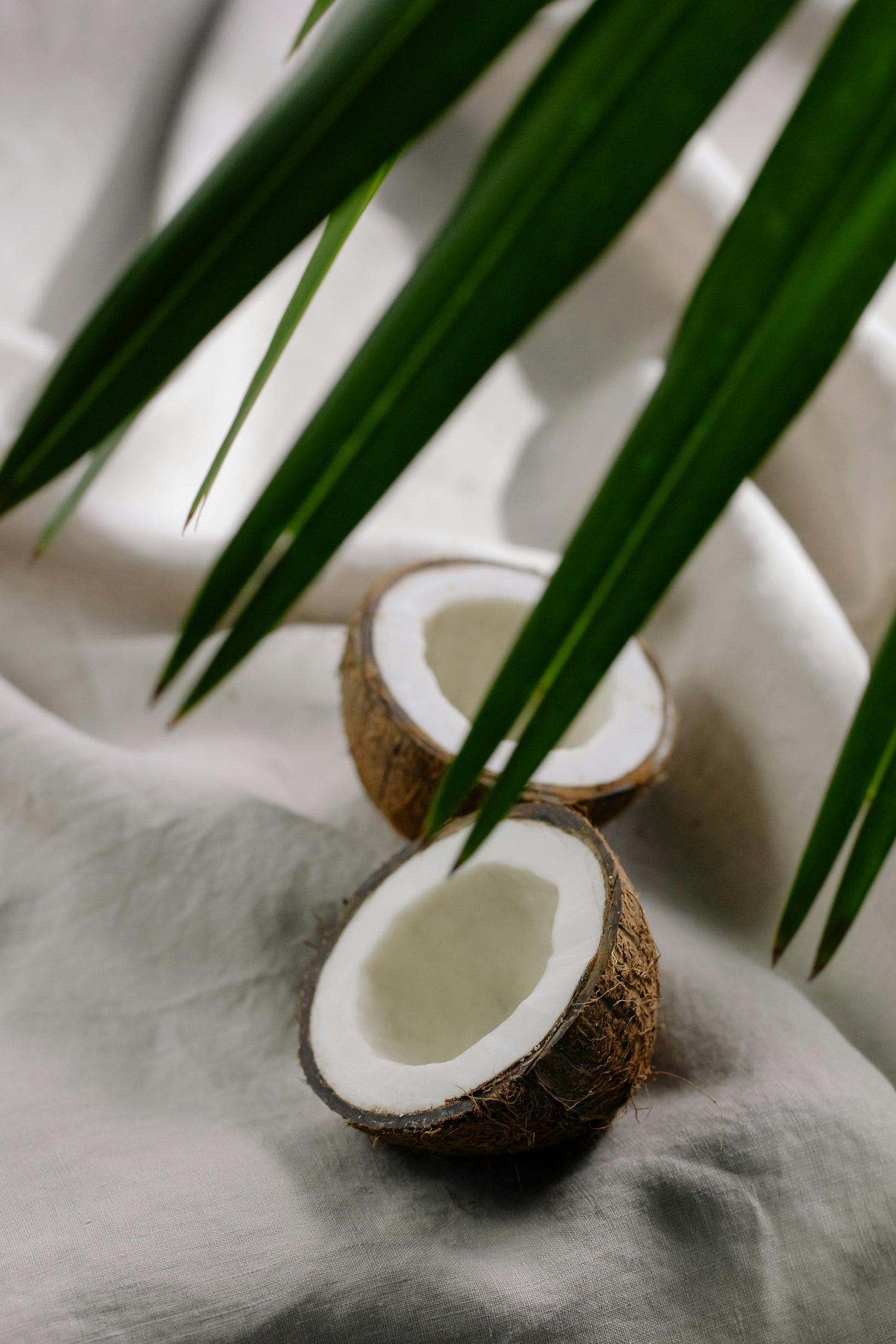 Feminine Fragrance Oils