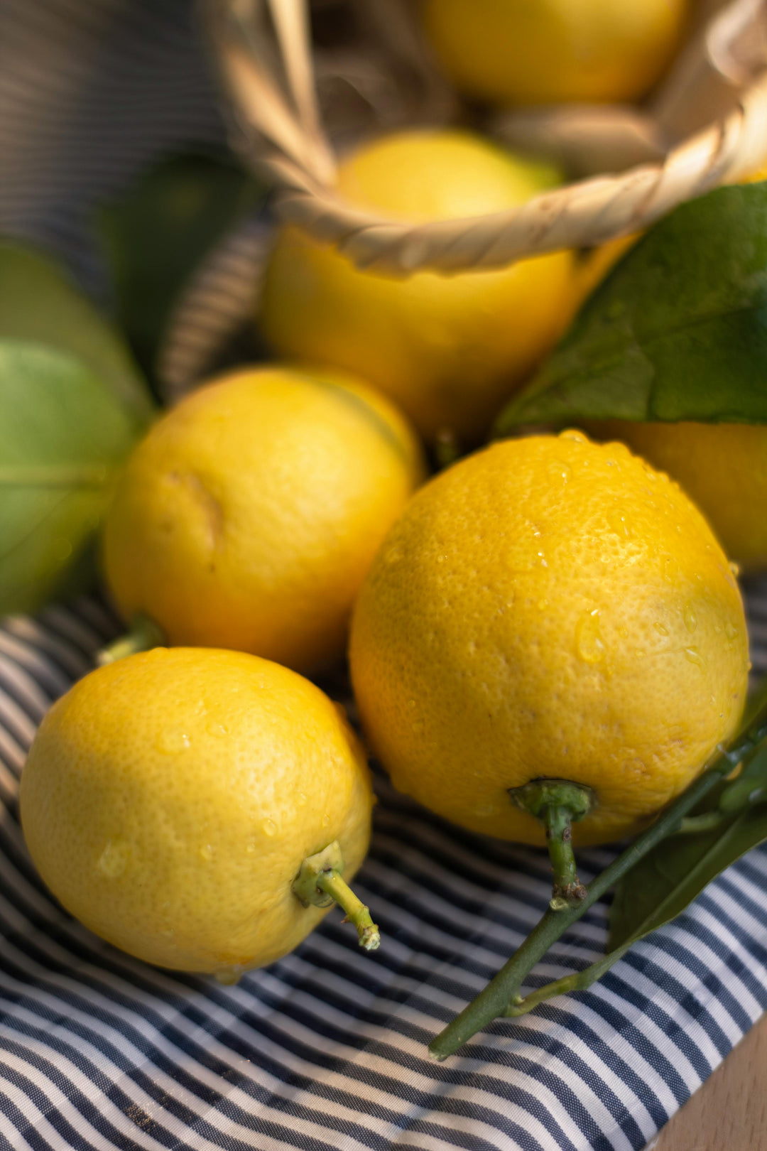 Fruity & Lush Fragrance Oils