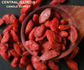 Goji Berry Vanille