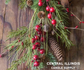 Winter Wreath | Ci Candles Supply